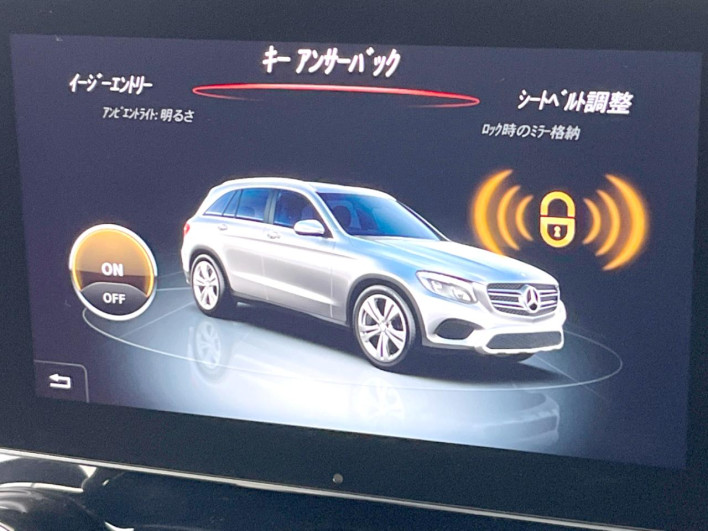 2017 Mercedes Benz GLC LDA-253905C (UW-69f067ab68874)[19]