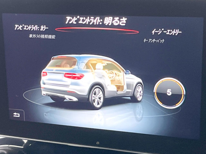 2017 Mercedes Benz GLC LDA-253905C (UW-69f067ab68874)[27]