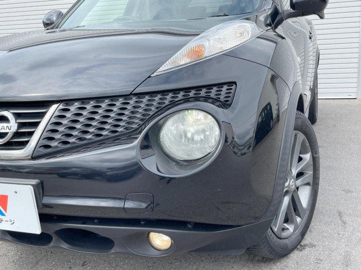 2013 Nissan JUKE DBA-YF15 (UW-69f067adf10d4)[9]