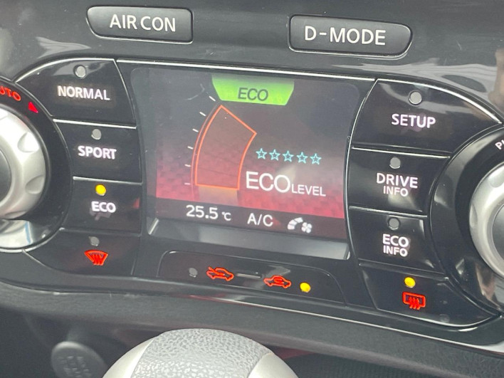 2013 Nissan JUKE DBA-YF15 (UW-69f067adf10d4)[23]