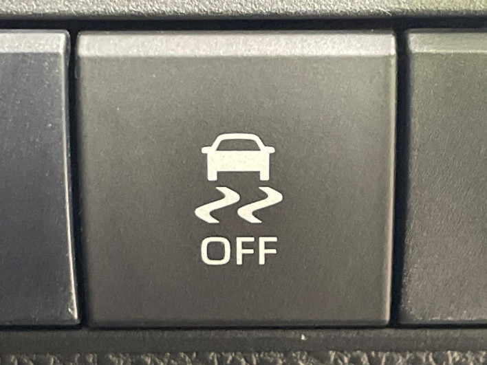 2019 Toyota Corolla Touring 6AA-ZWE211W (UW-69f067cfb5551)[19]