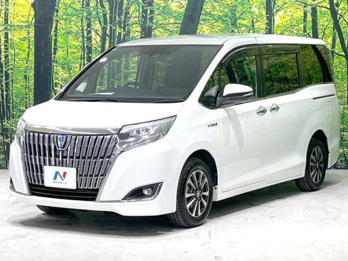 2017 Toyota Esquire DAA-ZWR80G (UW-69f067d22a516)[5]