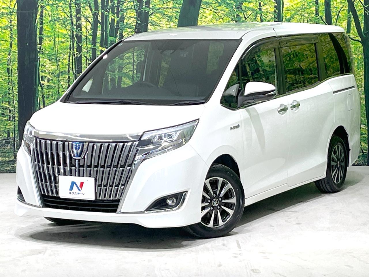 2017 Toyota Esquire DAA-ZWR80G