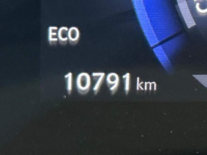 2024 Lexus NX 6AA-AAZH20 (UW-69f1f687c2f8d)[2]