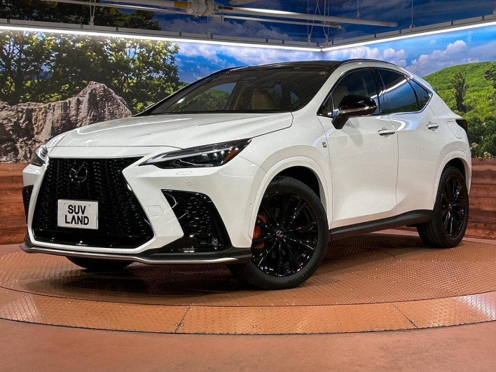 2024 Lexus NX 6AA-AAZH20 (UW-69f1f687c2f8d)[0]