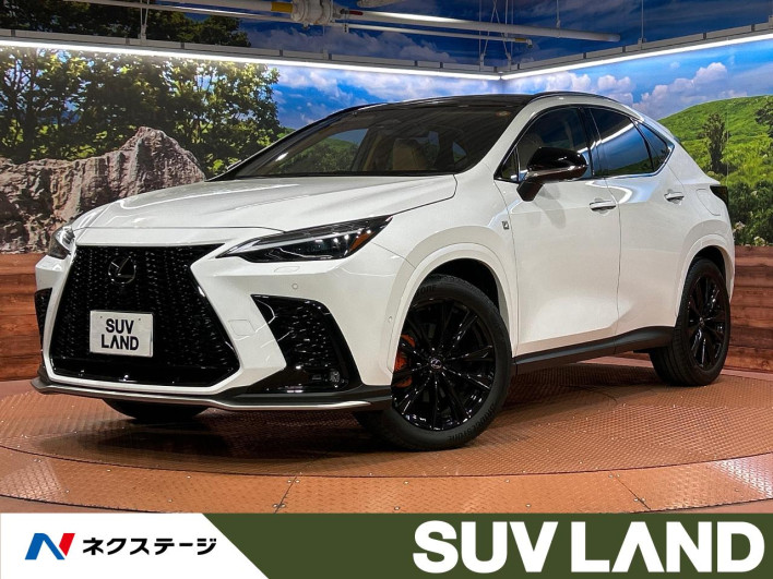 2024 Lexus NX 6AA-AAZH20 (UW-69f1f687c2f8d)[3]