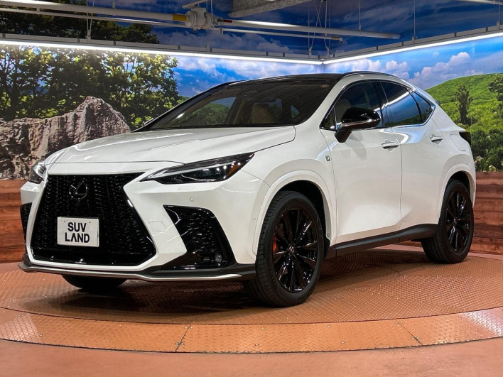 2024 Lexus NX 6AA-AAZH20 (UW-69f1f687c2f8d)[29]