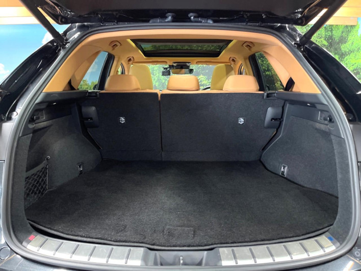 2023 Lexus NX 6AA-AAZH25 (UW-69f1f68806d03)[13]