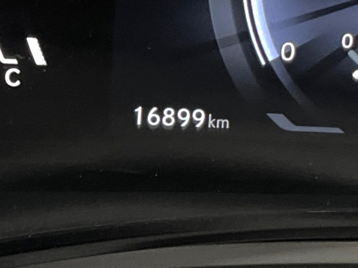 2023 Lexus NX 6AA-AAZH25 (UW-69f1f68806d03)[2]