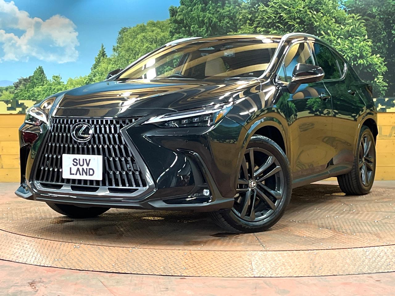 2023 Lexus NX 6AA-AAZH25