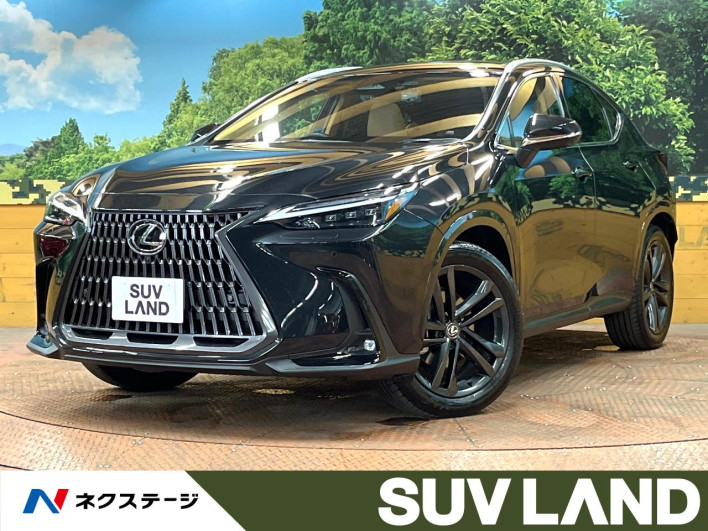 2023 Lexus NX 6AA-AAZH25 (UW-69f1f68806d03)[3]