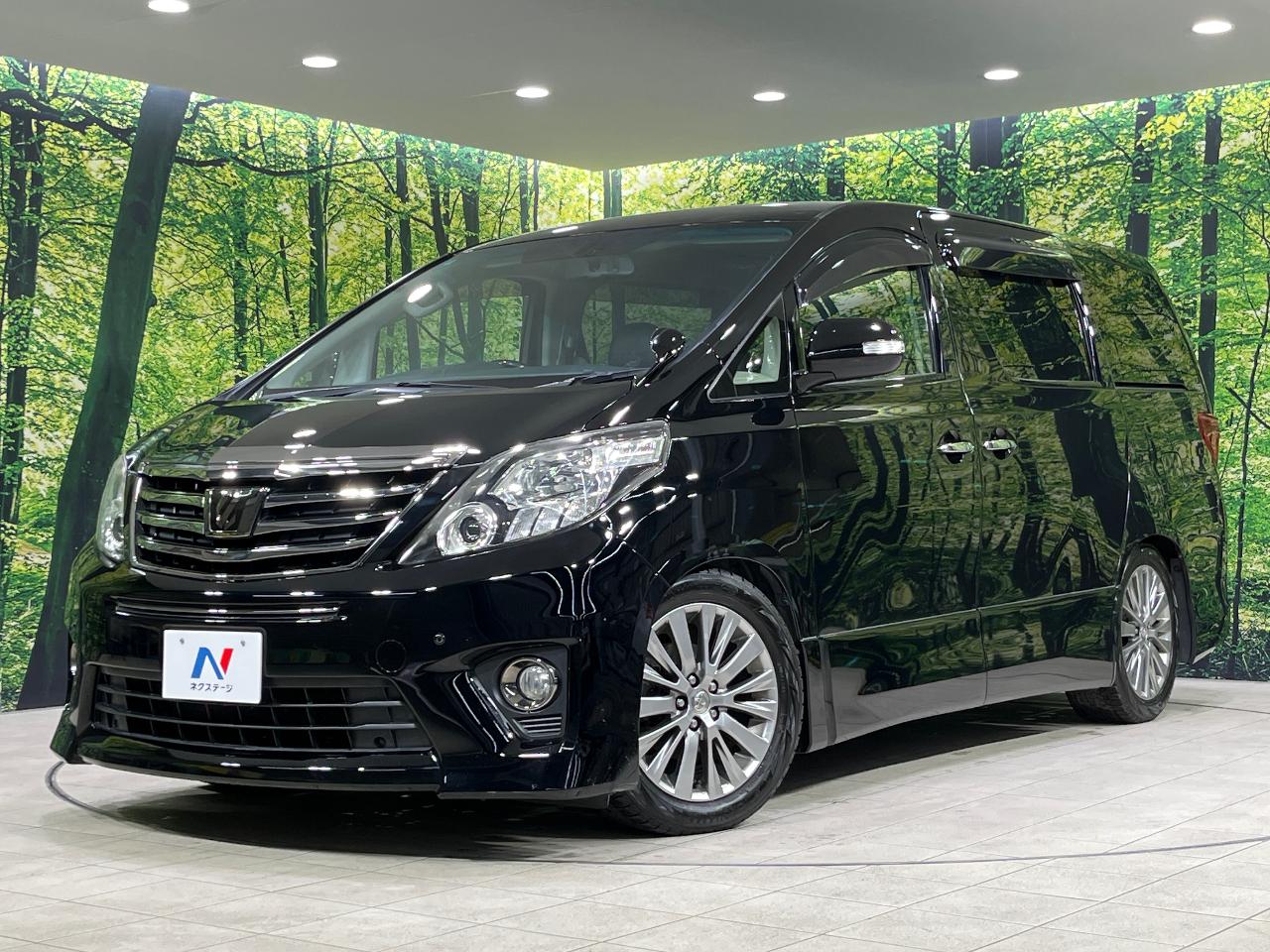 2014 Toyota Alphard DBA-ANH25W