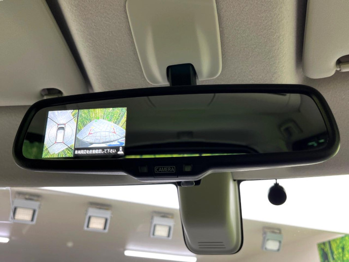 2015 Nissan DAYZ ROOX DBA-B21A (UW-69f1f6a530855)[6]