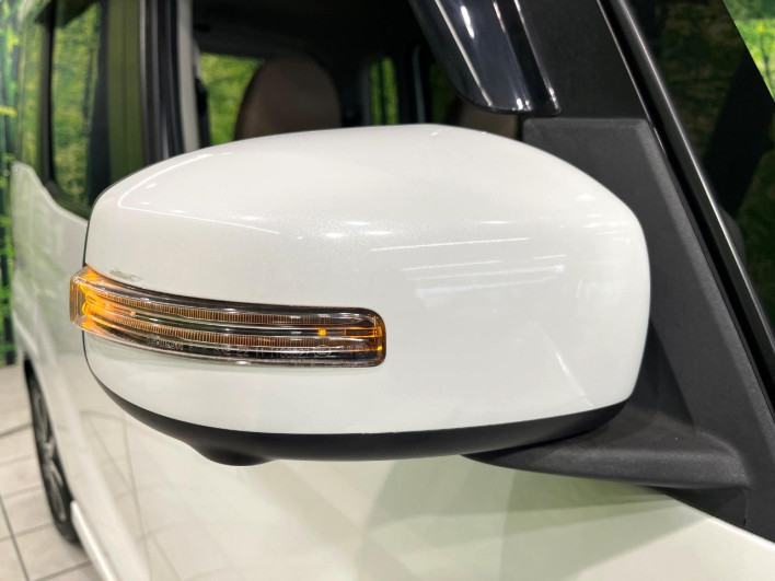 2018 Nissan DAYZ ROOX DBA-B21A (UW-69f1f6a687a1e)[20]