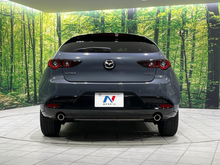 2024 Mazda Mazda 3 Fastback 6BA-BP5R (UW-69f1f6b94f978)[13]
