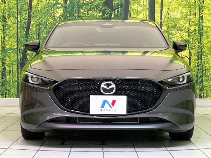 2024 Mazda Mazda 3 Fastback 6BA-BP5R (UW-69f1f6b95195c)[11]