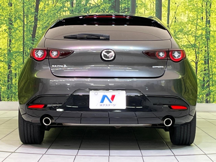 2024 Mazda Mazda 3 Fastback 6BA-BP5R (UW-69f1f6b95195c)[7]