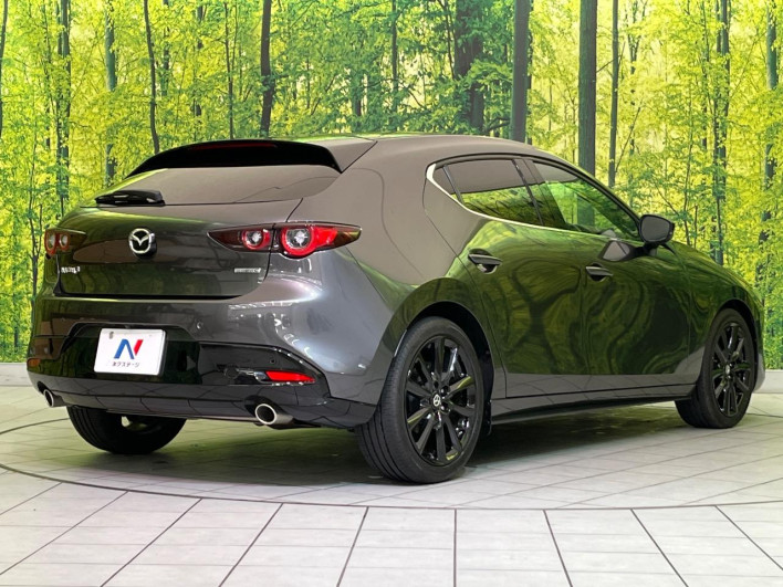 2024 Mazda Mazda 3 Fastback 6BA-BP5R (UW-69f1f6b95195c)[8]