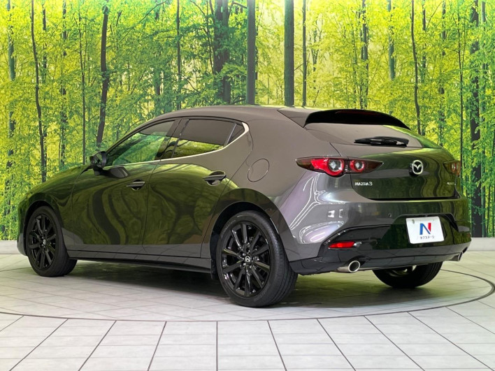 2024 Mazda Mazda 3 Fastback 6BA-BP5R (UW-69f1f6b95195c)[6]