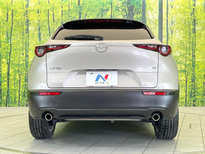 2023 Mazda CX-30 5AA-DMEJ3P (UW-69f1f6c44edad)[9]