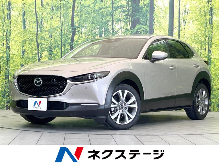 2023 Mazda CX-30 5AA-DMEJ3P (UW-69f1f6c44edad)[3]