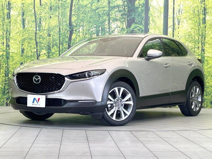 2023 Mazda CX-30 5AA-DMEJ3P (UW-69f1f6c44edad)[0]