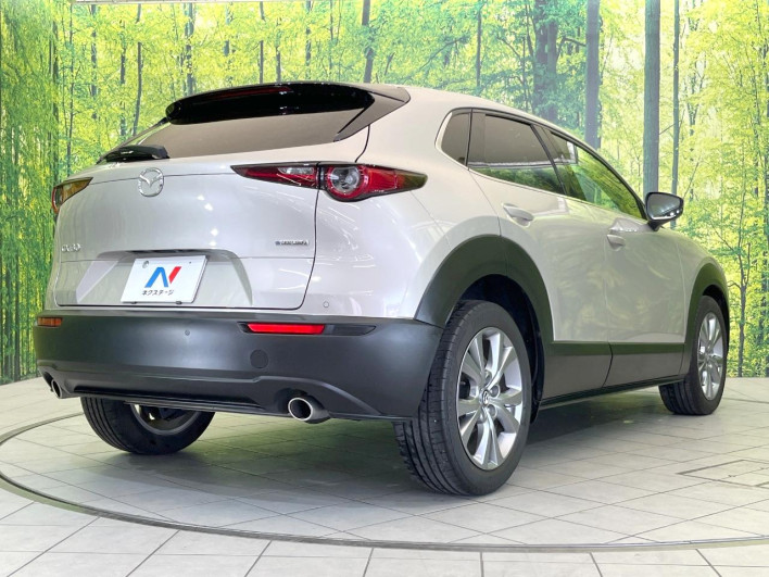 2023 Mazda CX-30 5AA-DMEJ3P (UW-69f1f6c44edad)[10]