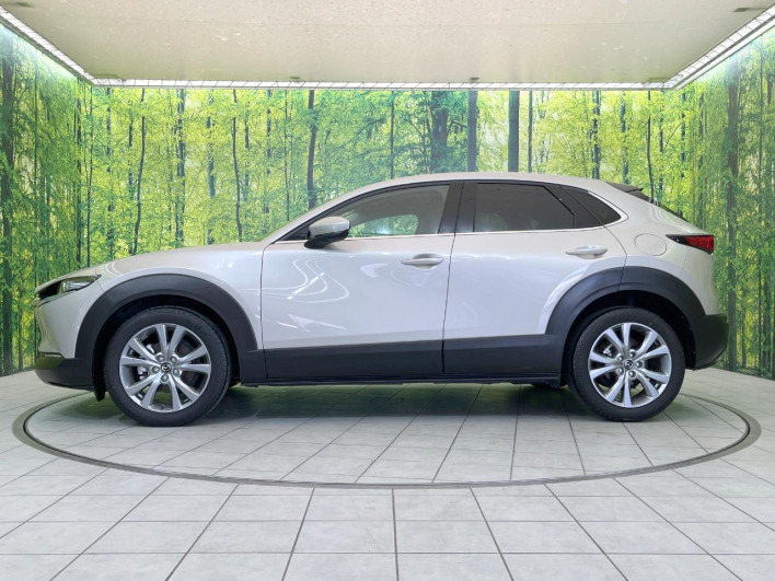 2023 Mazda CX-30 5AA-DMEJ3P (UW-69f1f6c44edad)[7]