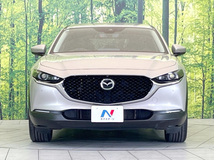 2023 Mazda CX-30 5AA-DMEJ3P (UW-69f1f6c44edad)[5]