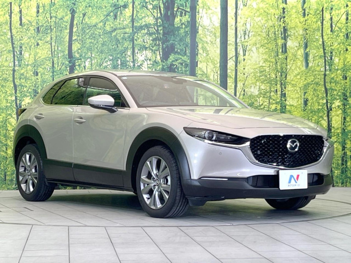 2023 Mazda CX-30 5AA-DMEJ3P (UW-69f1f6c44edad)[6]