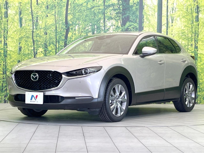 2023 Mazda CX-30 5AA-DMEJ3P (UW-69f1f6c44edad)[4]