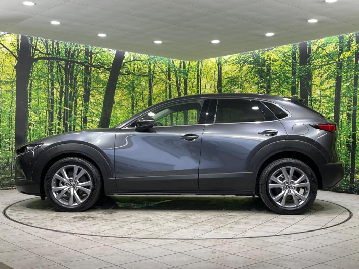2019 Mazda CX-30 5BA-DMEP (UW-69f1f6c4d3d04)[26]