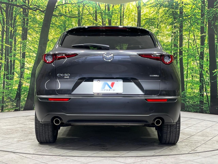 2019 Mazda CX-30 5BA-DMEP (UW-69f1f6c4d3d04)[24]