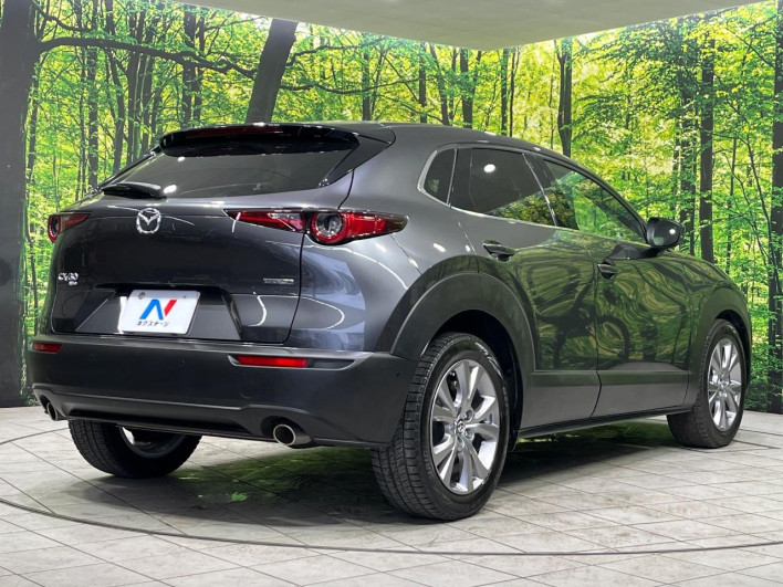 2019 Mazda CX-30 5BA-DMEP (UW-69f1f6c4d3d04)[23]