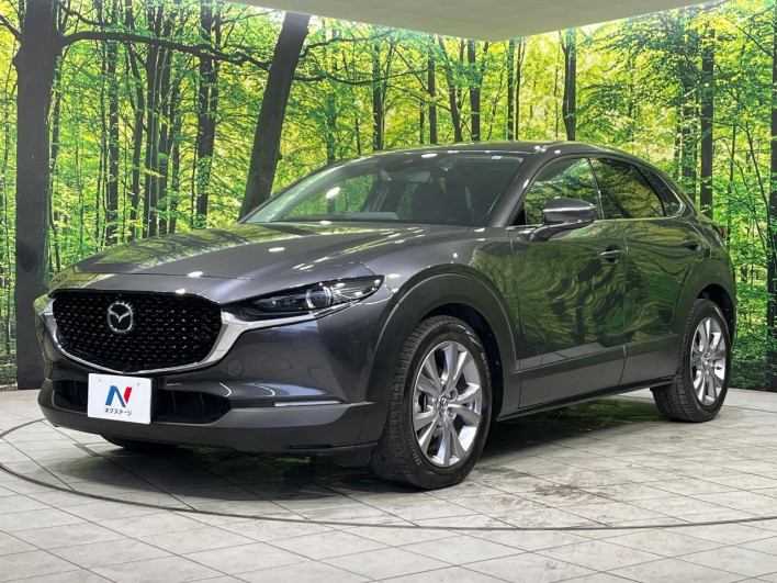 2019 Mazda CX-30 5BA-DMEP (UW-69f1f6c4d3d04)[7]