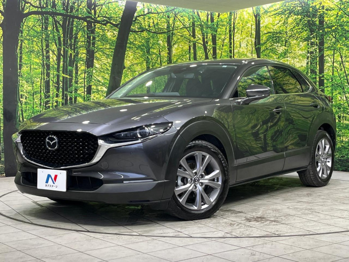 2019 Mazda CX-30 5BA-DMEP (UW-69f1f6c4d3d04)[0]