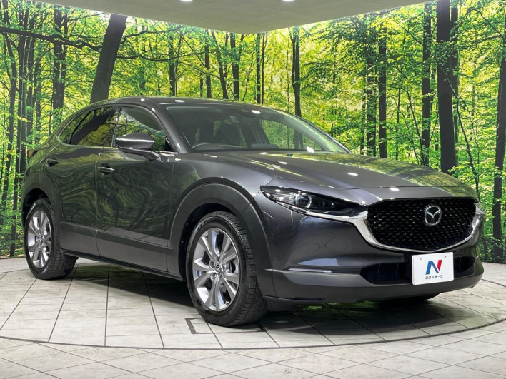 2019 Mazda CX-30 5BA-DMEP (UW-69f1f6c4d3d04)[9]