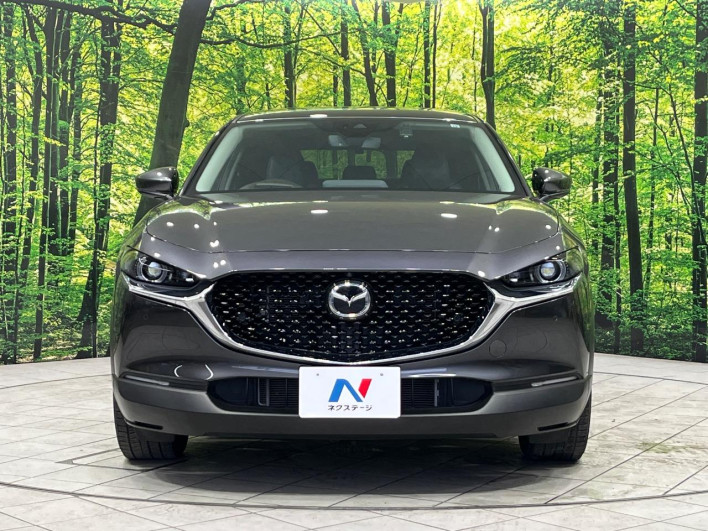 2019 Mazda CX-30 5BA-DMEP (UW-69f1f6c4d3d04)[8]