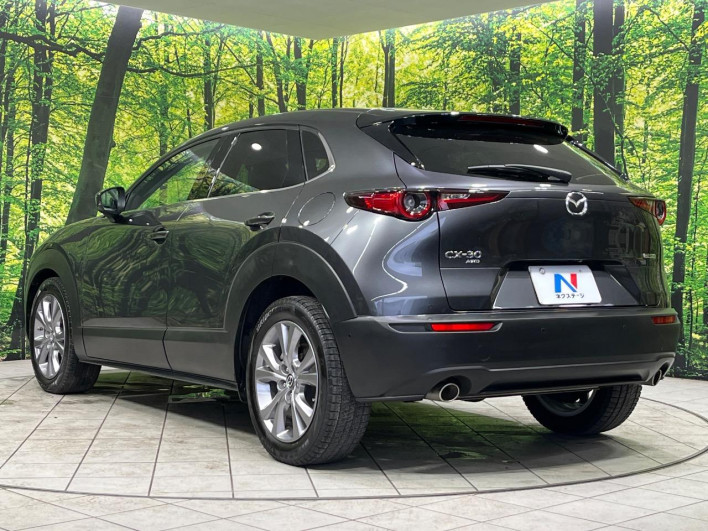 2019 Mazda CX-30 5BA-DMEP (UW-69f1f6c4d3d04)[25]