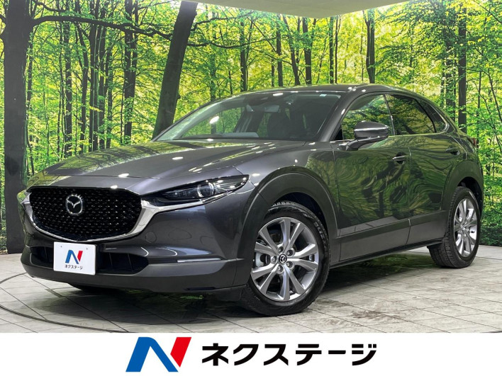 2019 Mazda CX-30 5BA-DMEP (UW-69f1f6c4d3d04)[3]
