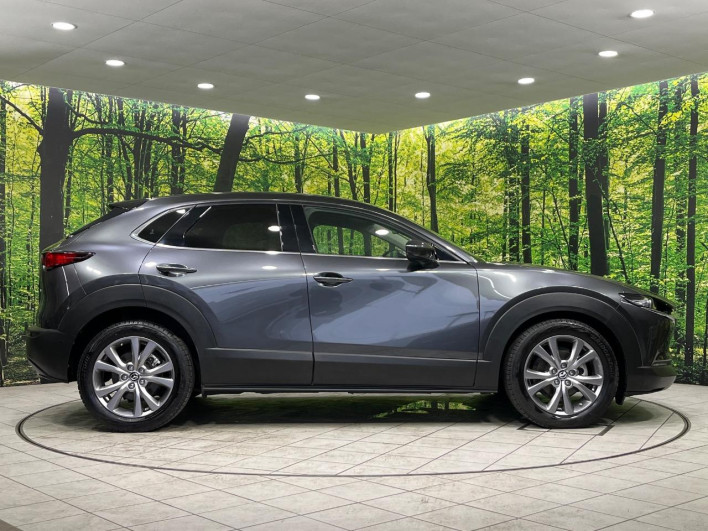 2019 Mazda CX-30 5BA-DMEP (UW-69f1f6c4d3d04)[10]