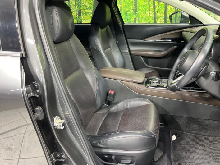 2019 Mazda CX-30 5BA-DMEP (UW-69f1f6c4d3d04)[17]