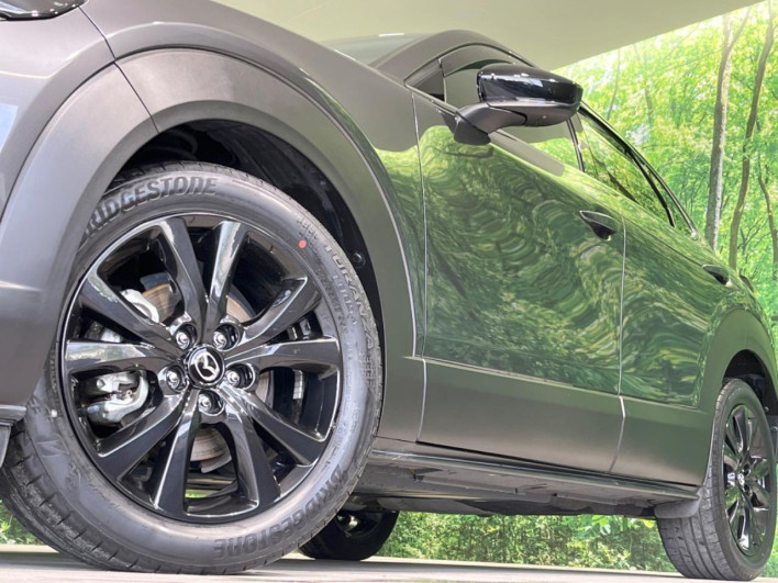 2022 Mazda CX-30 5BA-DMEP (UW-69f1f6c4df602)[12]