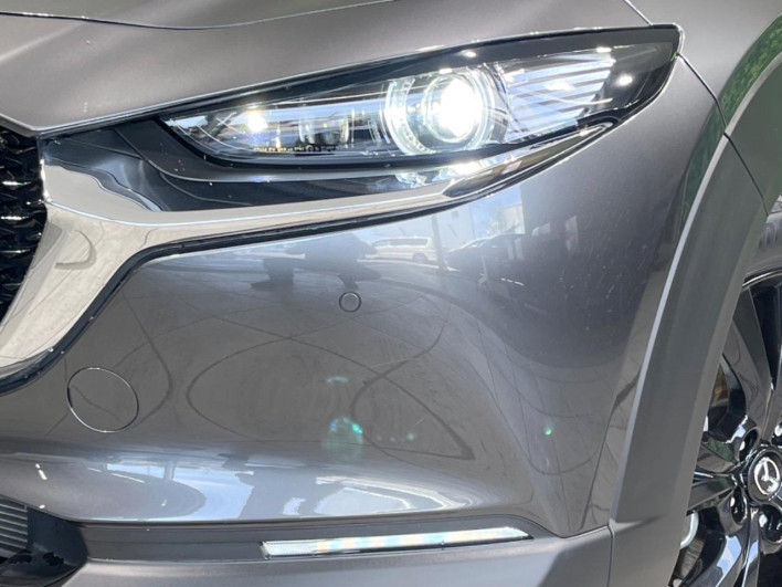 2022 Mazda CX-30 5BA-DMEP (UW-69f1f6c4df602)[11]