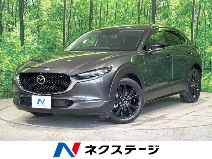2022 Mazda CX-30 5BA-DMEP (UW-69f1f6c4df602)[3]