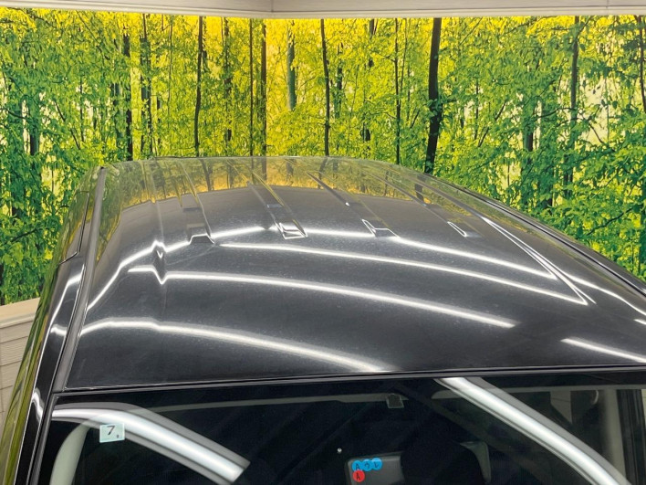 2018 Nissan Serena DAA-GFC27 (UW-69f1f6db6535d)[4]