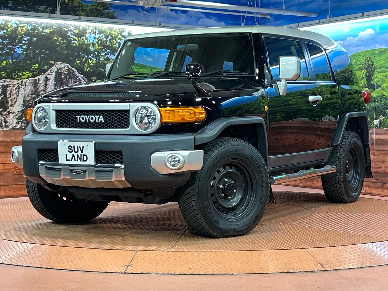 2017 Toyota FJ CRUISER CBA-GSJ15W