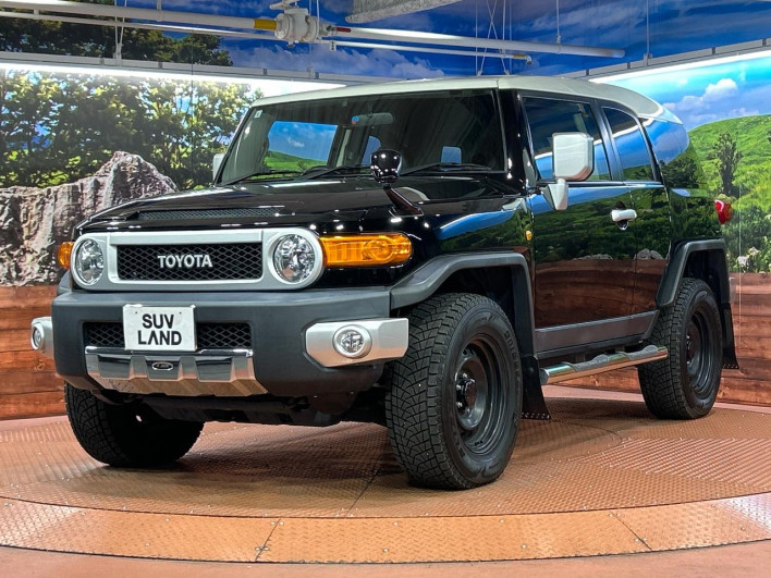 2017 Toyota FJ CRUISER CBA-GSJ15W (UW-69f1f6e6165e5)[23]