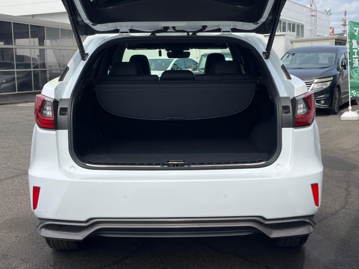 2017 Lexus RX DAA-GYL25W (UW-69f1f6e80e6ae)[24]