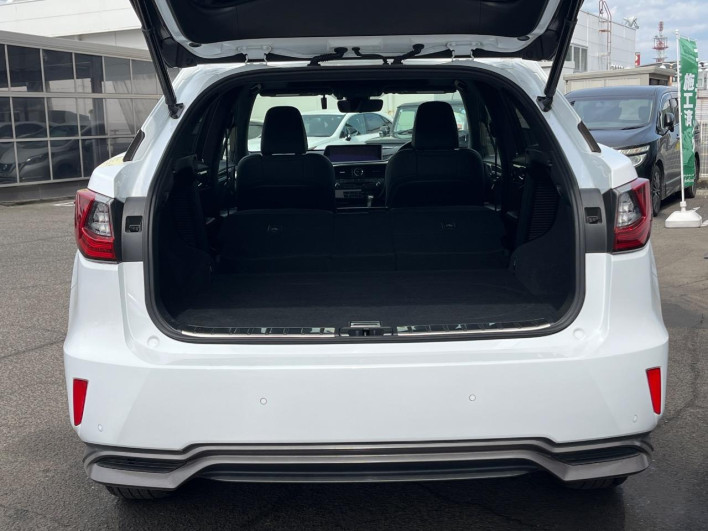 2017 Lexus RX DAA-GYL25W (UW-69f1f6e80e6ae)[28]